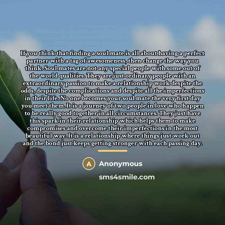“If you think that finding a soul mate is all…” quote by Anonymous