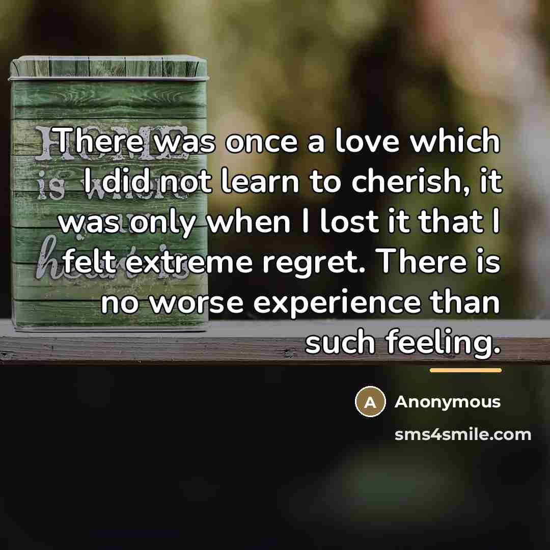 “There was once a love which I did not learn…” quote by Anonymous