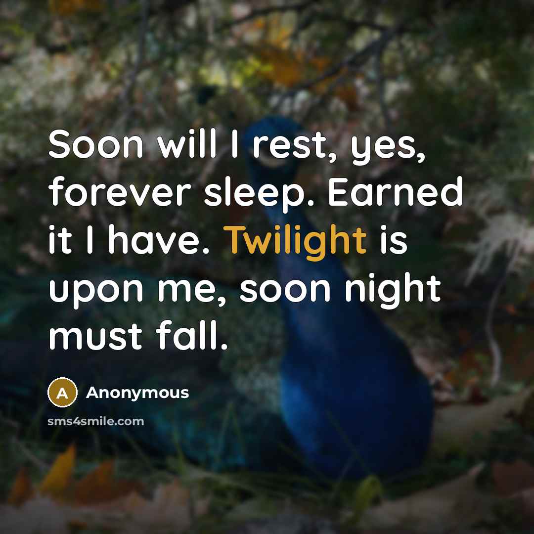 “Soon will I rest, yes, forever sleep. Earned it I have. Twilight is upon me, soon night must fall.” quote by Anonymous