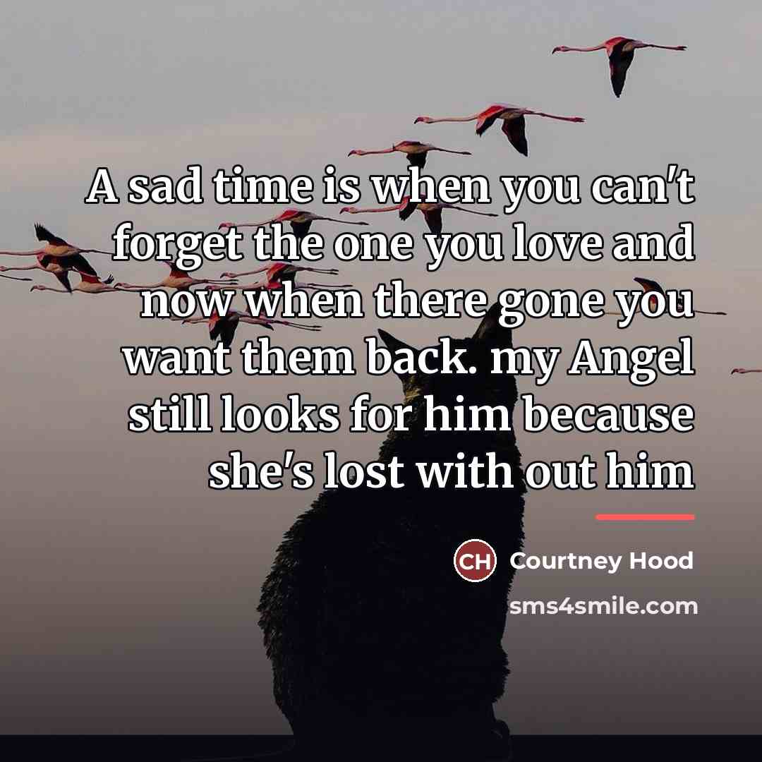 “A sad time is when you can't forget the one…” quote by Courtney Hood