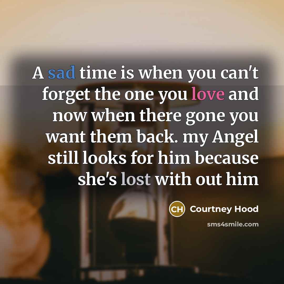 “A sad time is when you can't forget the one you love and now when there gone you want them back. my Angel still looks for him because she's lost with out him” quote by Courtney Hood