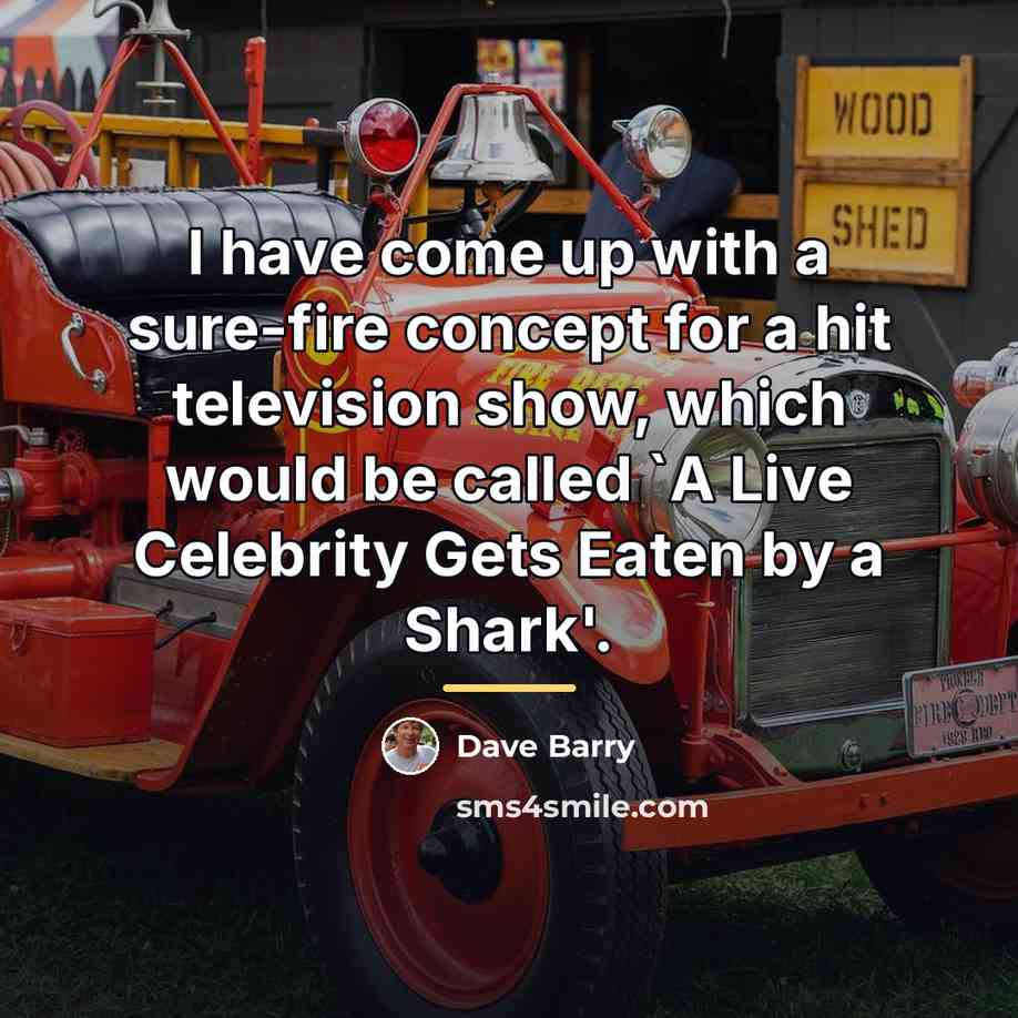 “I have come up with a sure-fire concept for a…” quote by Dave Barry