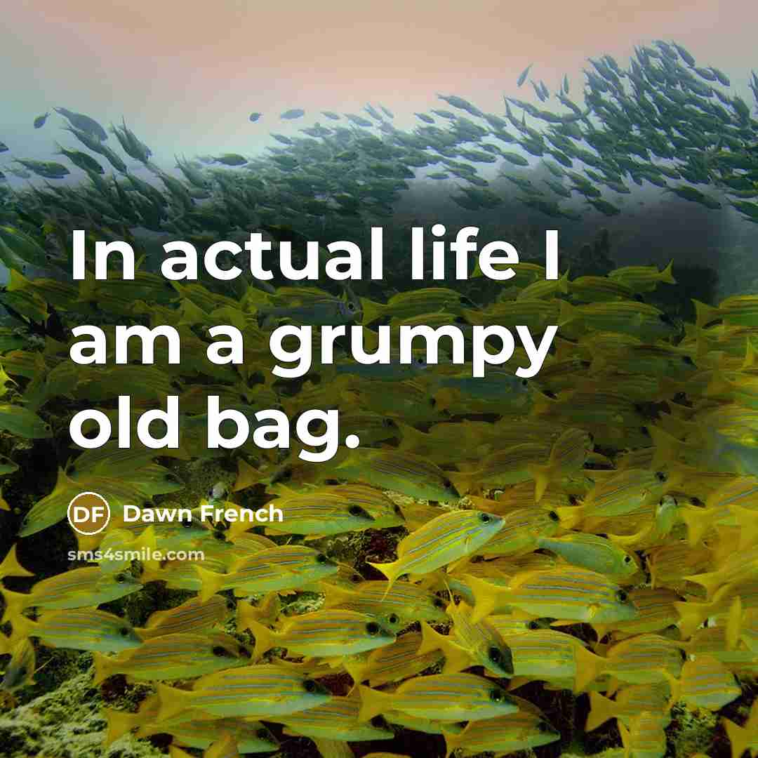 “In actual life I am a grumpy old bag.…” quote by Dawn French