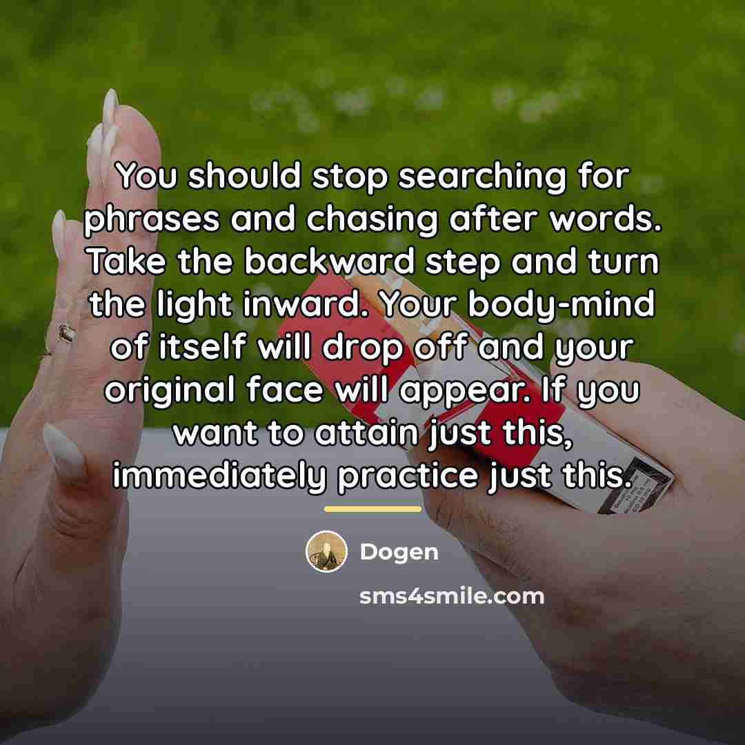 “You should stop searching for phrases and chasing after words.…” quote by Dogen