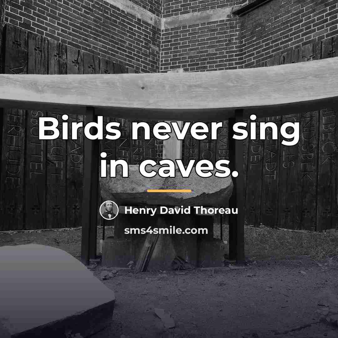 “Birds never sing in caves.…” quote by Henry David Thoreau