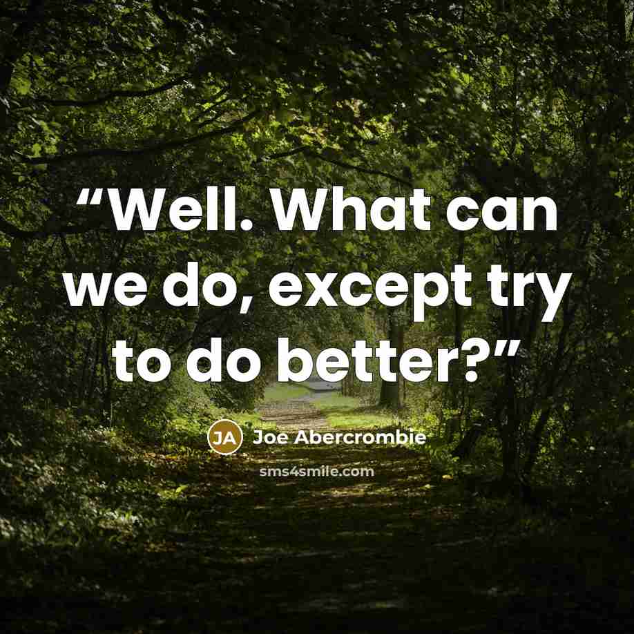 “Well. What can we do, except try to do better?” quote by Joe Abercrombie
