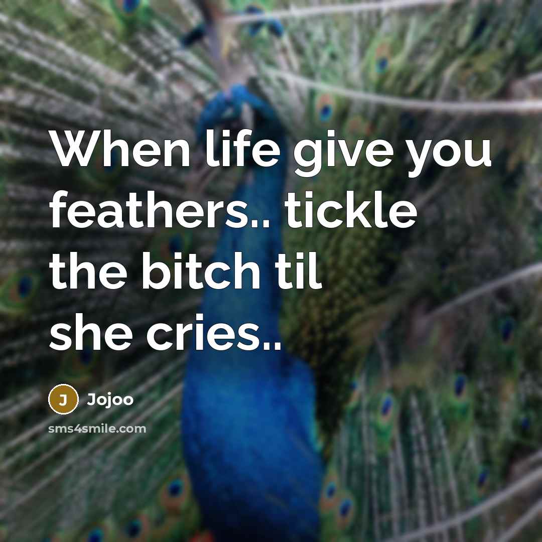 “When life give you feathers.. tickle the bitch til she…” quote by Jojoo