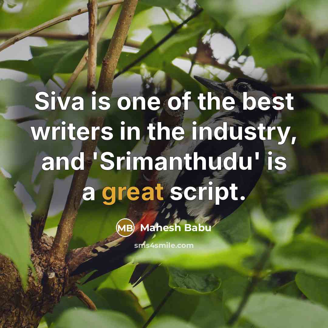 “Siva is one of the best writers in the industry,…” quote by Mahesh Babu