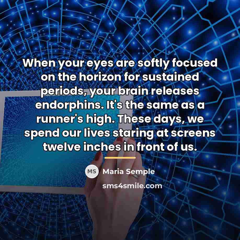 “When your eyes are softly focused on the horizon for…” quote by Maria Semple