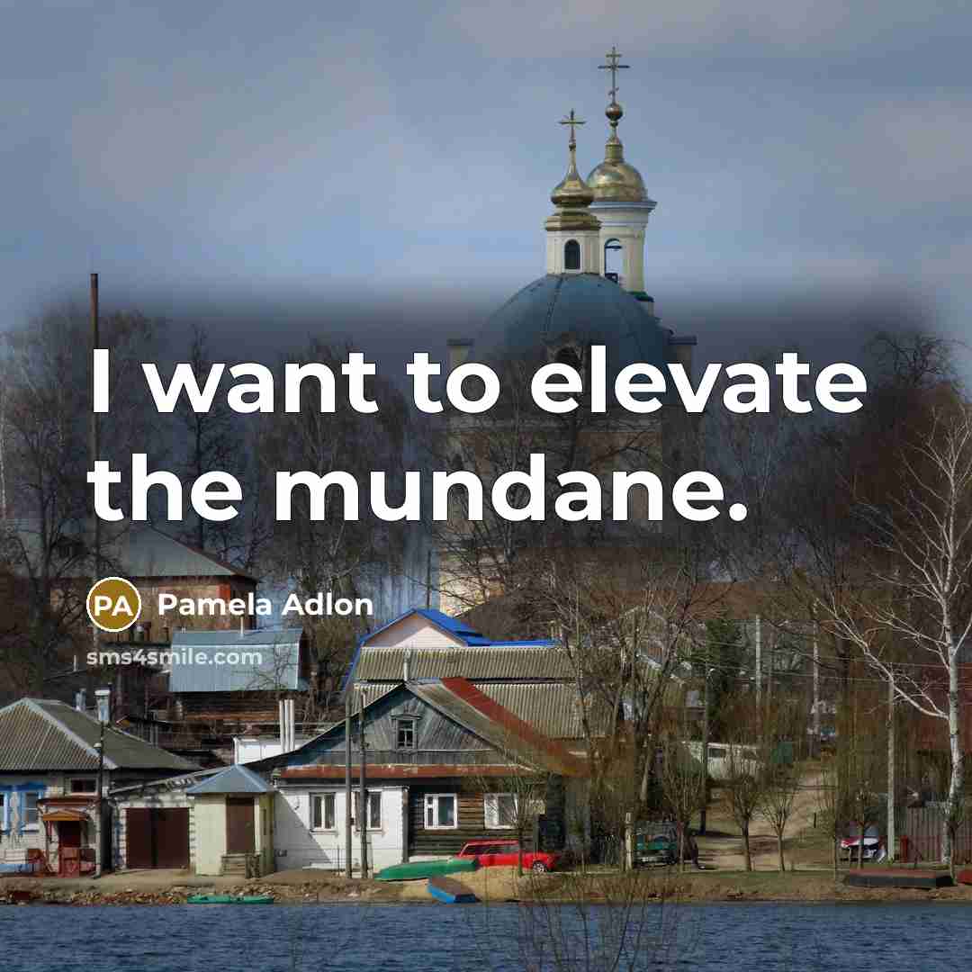 “I want to elevate the mundane.…” quote by Pamela Adlon