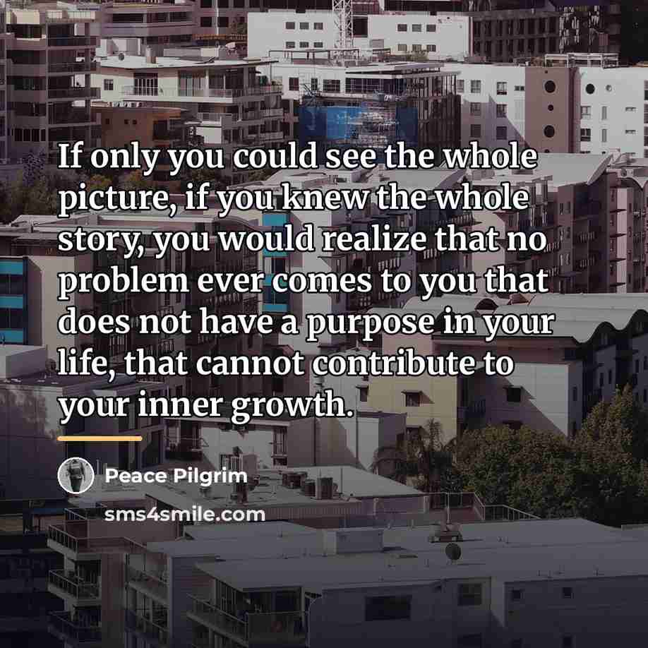 “If only you could see the whole picture, if you…” quote by Peace Pilgrim