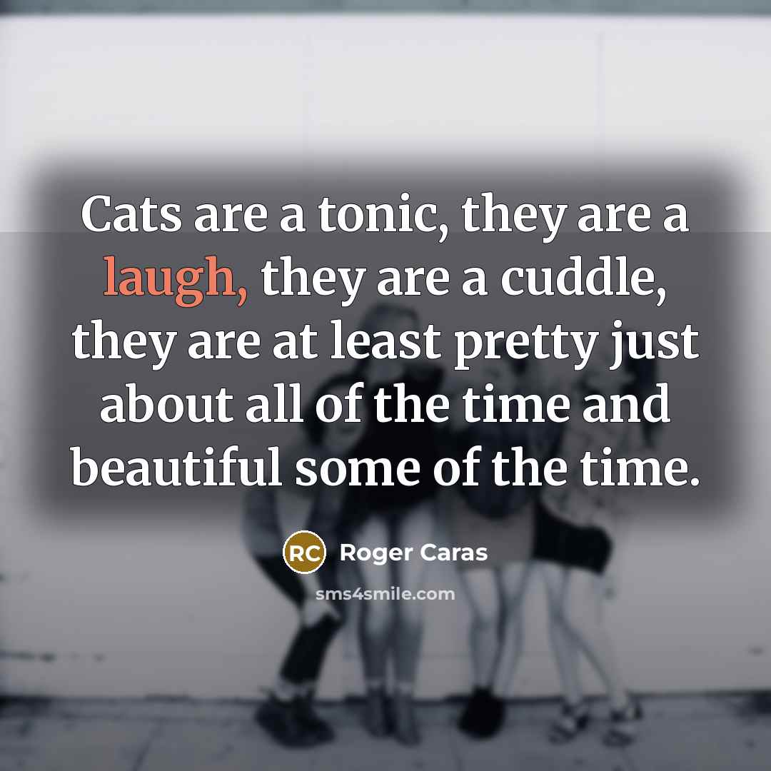 “Cats are a tonic, they are a laugh, they are…” quote by Roger Caras