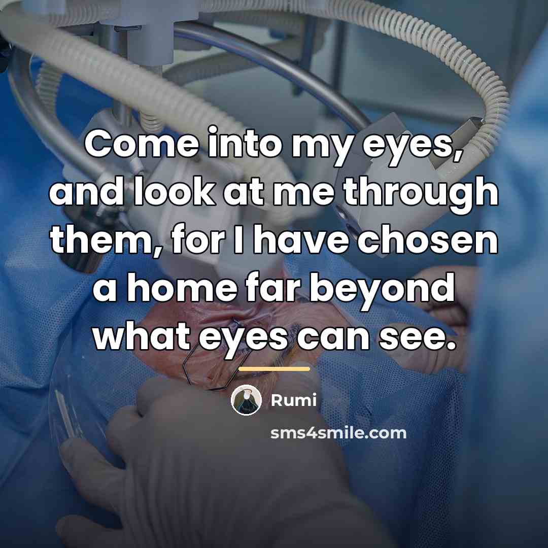 “Come into my eyes, and look at me through them,…” quote by Rumi