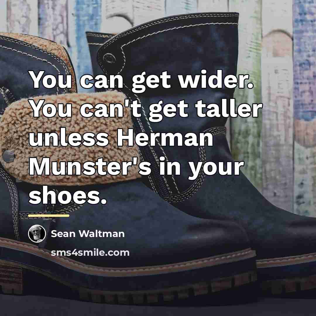 “You can get wider. You can't get taller unless Herman…” quote by Sean Waltman