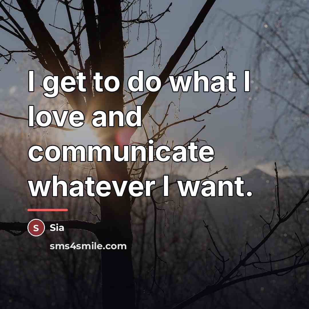 “I get to do what I love and communicate whatever…” quote by Sia
