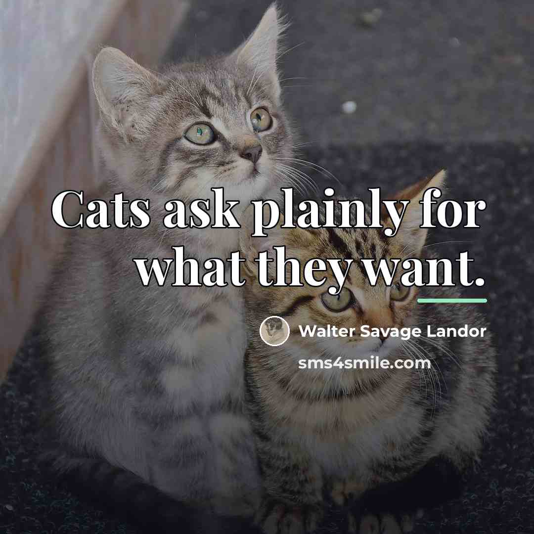 “Cats ask plainly for what they want.…” quote by Walter Savage Landor