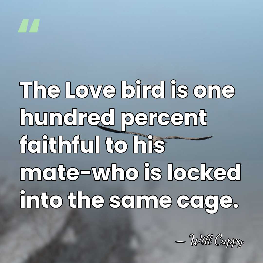The Love bird is one hundred percent faithful to his mate-who is&hellip; - Will Cuppy