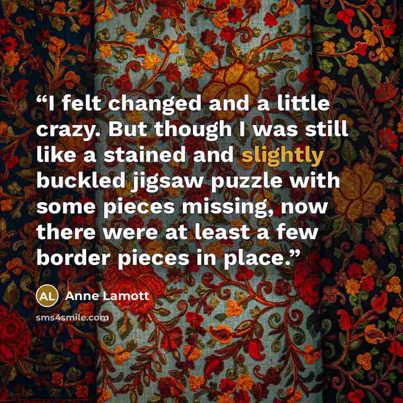 “I felt changed and a little crazy. But though I was still like a stained and slightly buckled jigsaw puzzle with some pieces missing, now there were at least a few border pieces in place.” quote by Anne Lamott
