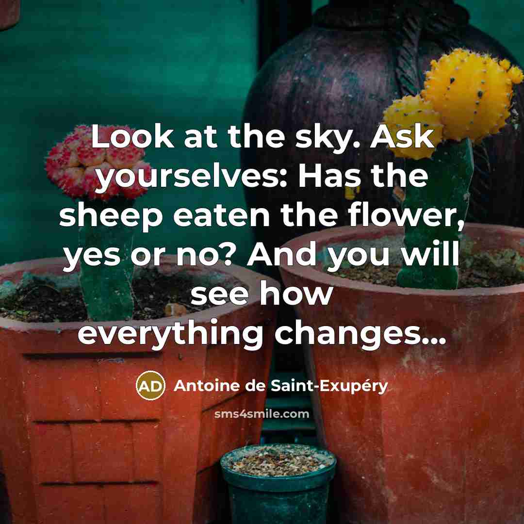 “Look at the sky. Ask yourselves: Has the sheep eaten…” quote by Antoine de Saint-Exupery