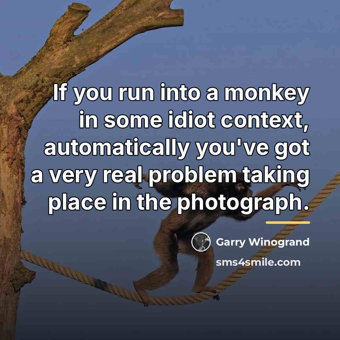 “If you run into a monkey in some idiot context,…” quote by Garry Winogrand