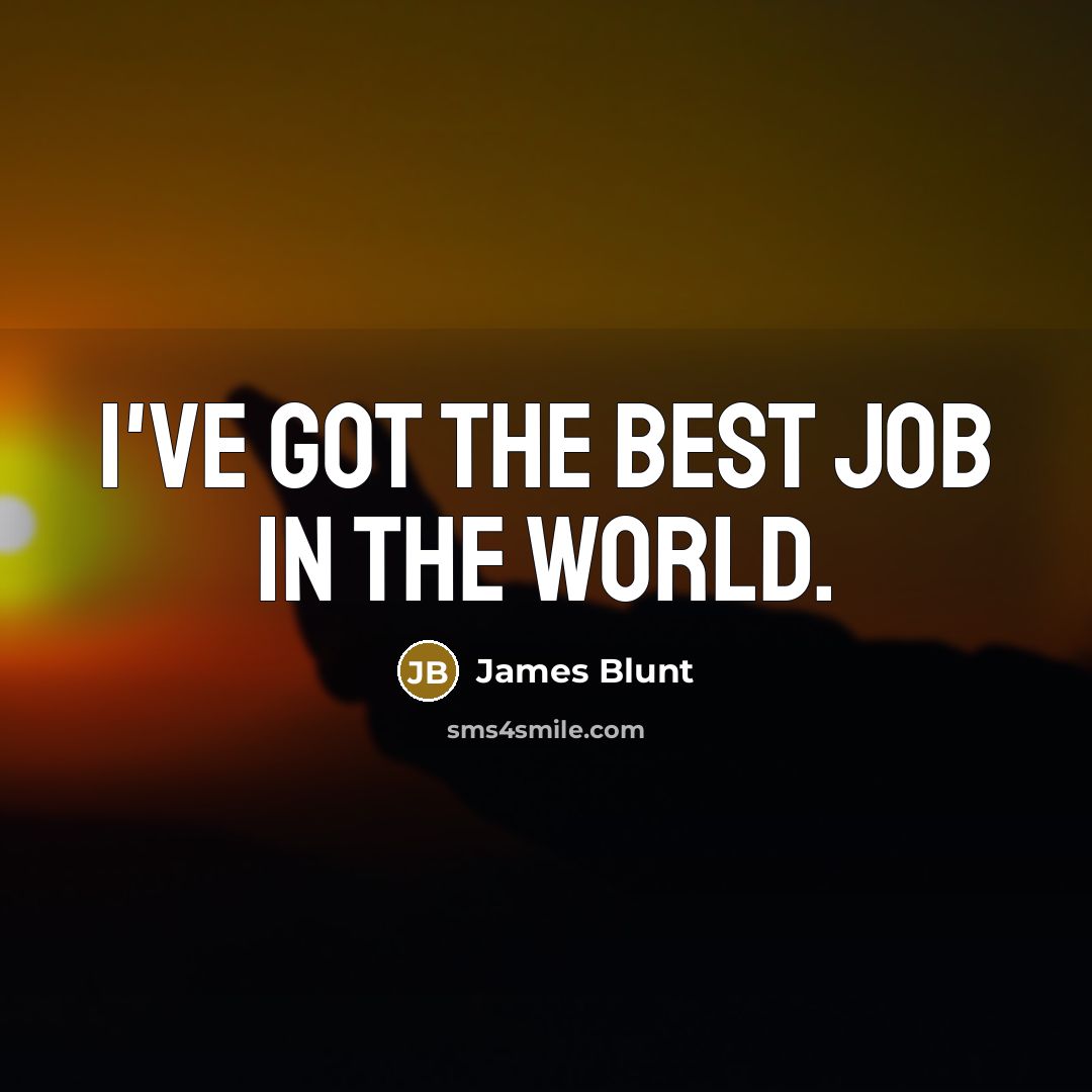 “I've got the best job in the world.…” quote by James Blunt
