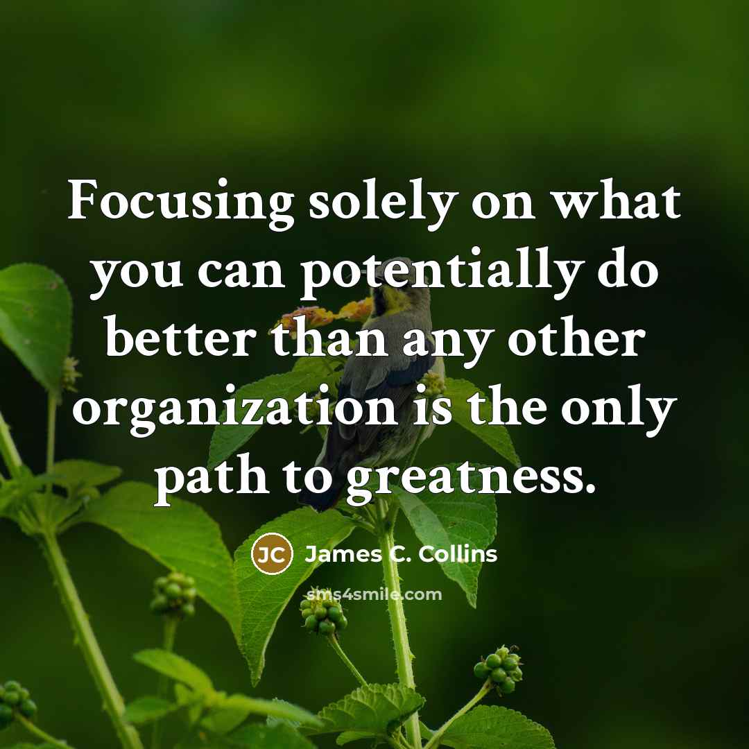 “Focusing solely on what you can potentially do better than…” quote by James C. Collins