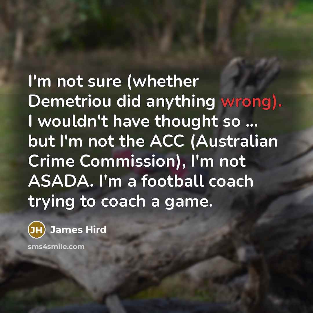 “I'm not sure (whether Demetriou did anything wrong). I wouldn't…” quote by James Hird