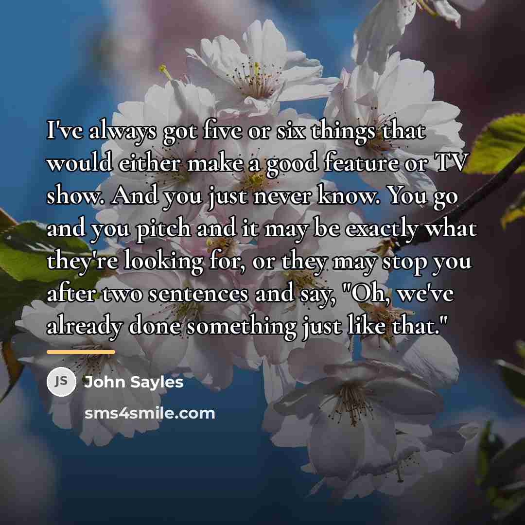 “I've always got five or six things that would either…” quote by John Sayles