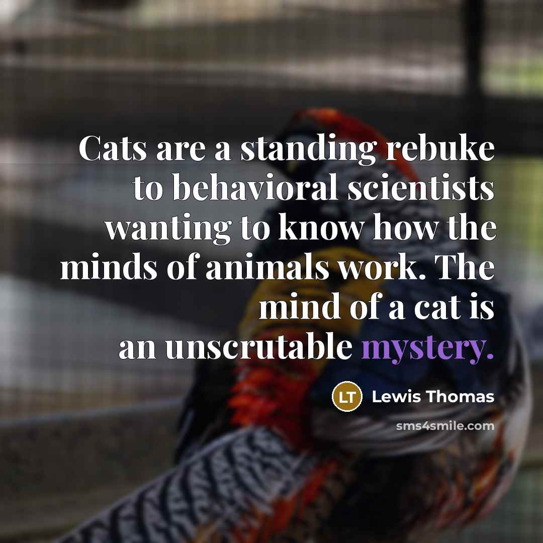 “Cats are a standing rebuke to behavioral scientists wanting to…” quote by Lewis Thomas