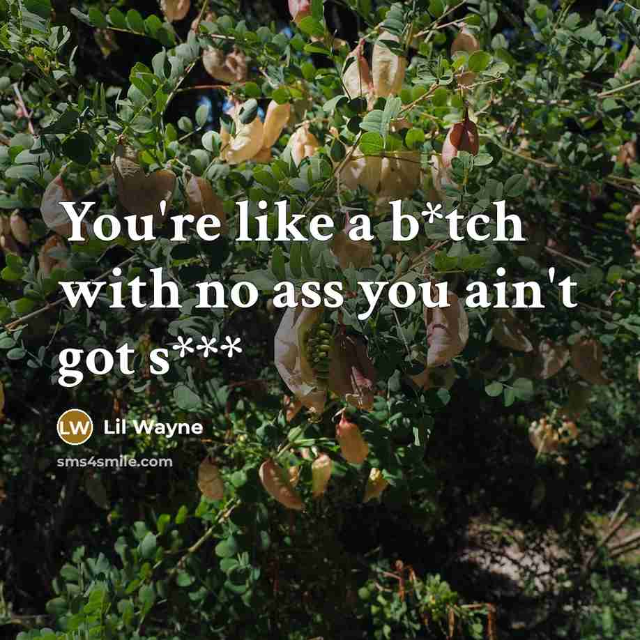 “You're like a b*tch with no ass you ain't got s***” quote by Lil Wayne