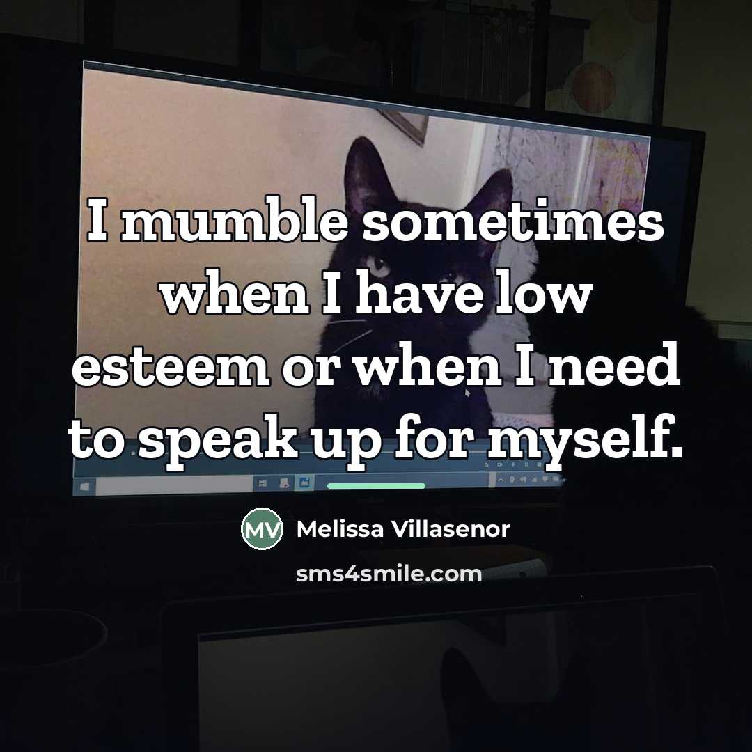 “I mumble sometimes when I have low esteem or when…” quote by Melissa Villasenor