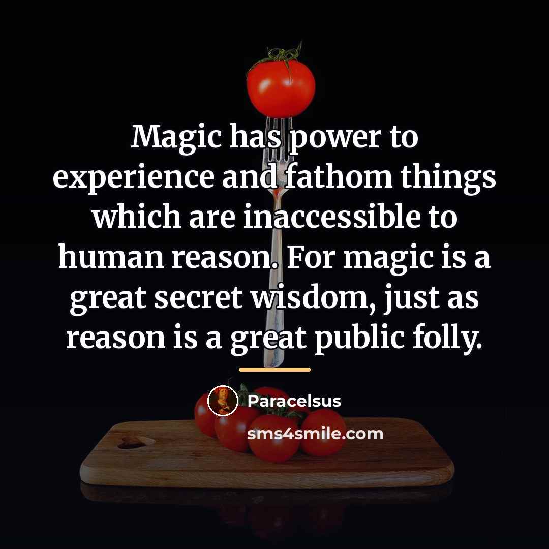 “Magic has power to experience and fathom things which are…” quote by Paracelsus