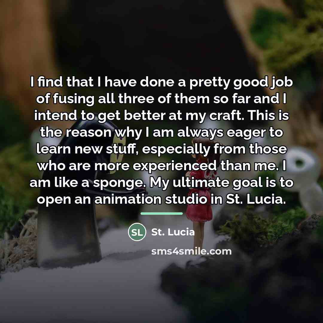 “I find that I have done a pretty good job…” quote by St. Lucia