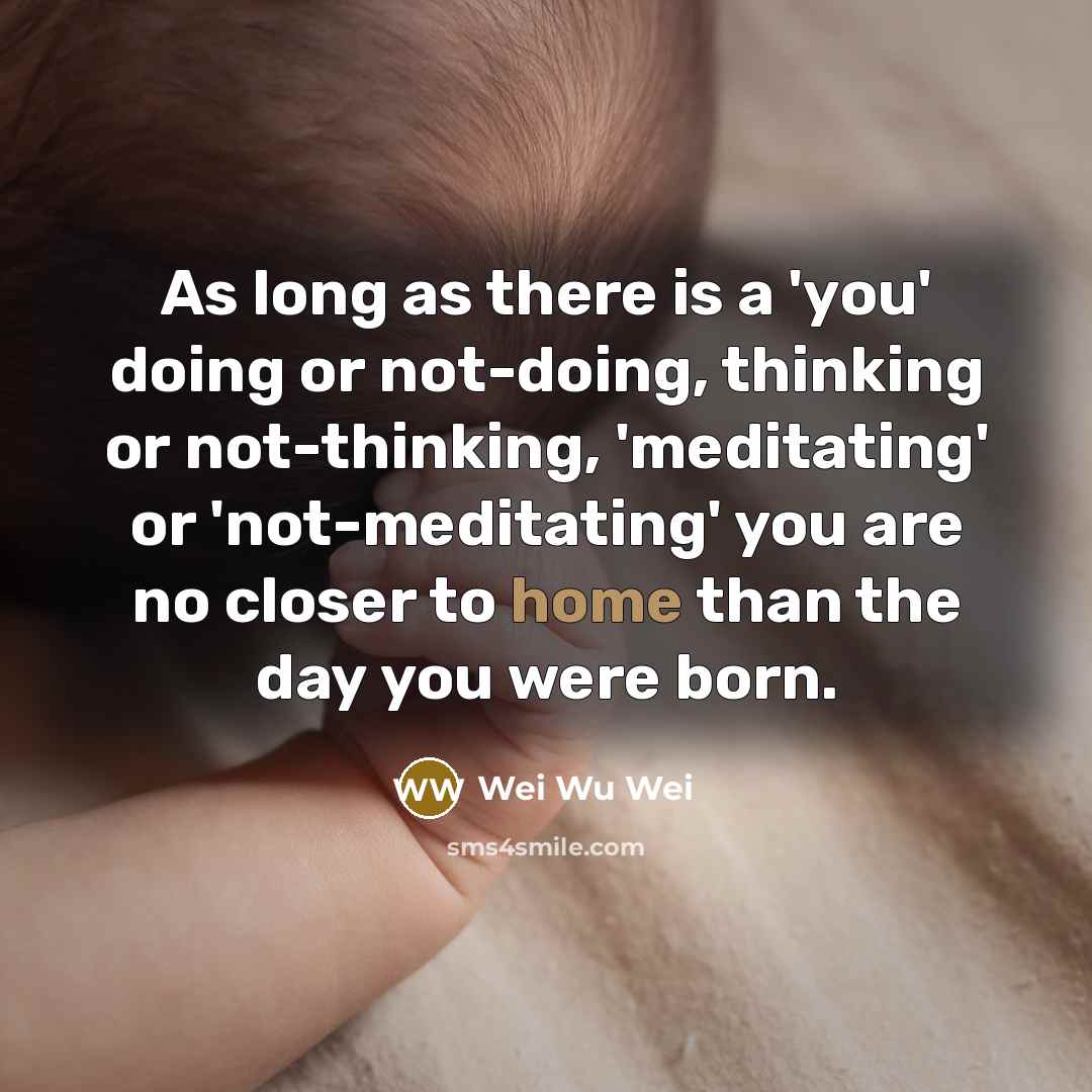 “As long as there is a 'you' doing or not-doing,…” quote by Wei Wu Wei