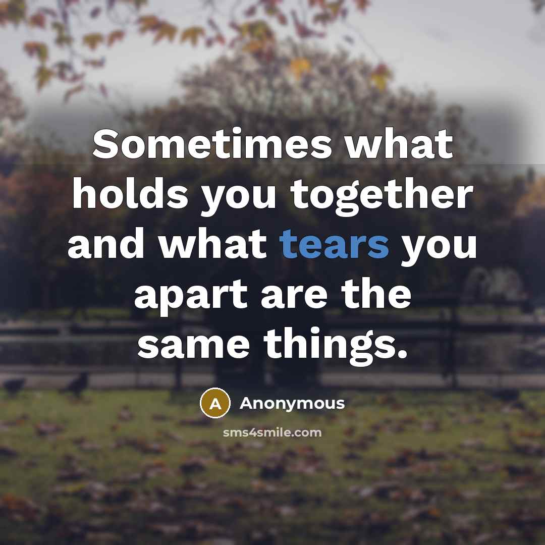 “Sometimes what holds you together and what tears you apart are the same things.” quote by Anonymous