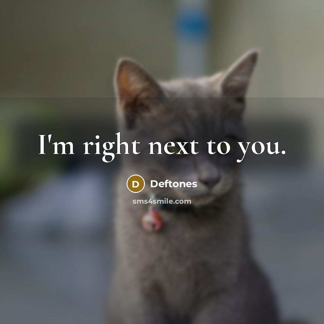 “I'm right next to you.…” quote by Deftones