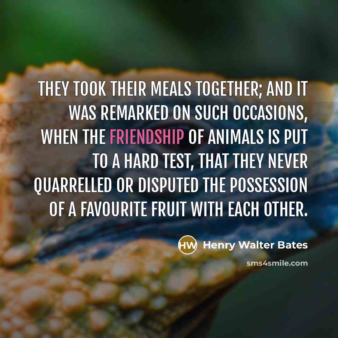 “They took their meals together; and it was remarked on…” quote by Henry Walter Bates