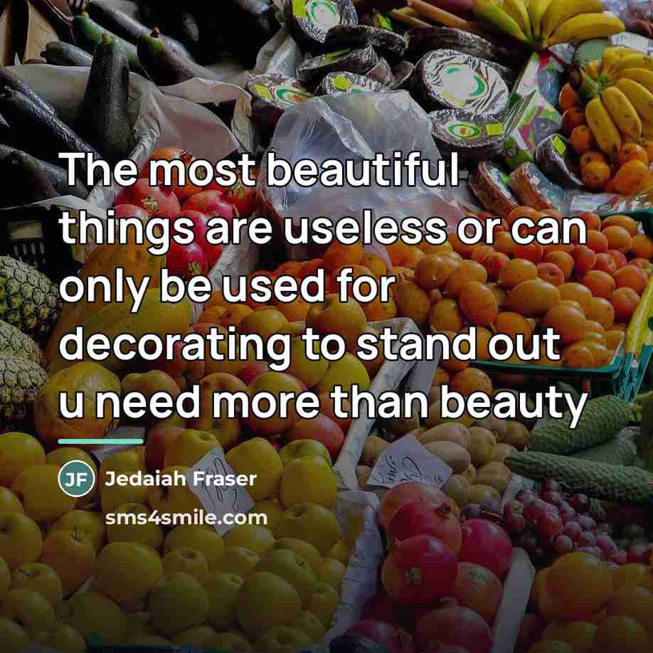 “The most beautiful things are useless or can only be…” quote by Jedaiah Fraser