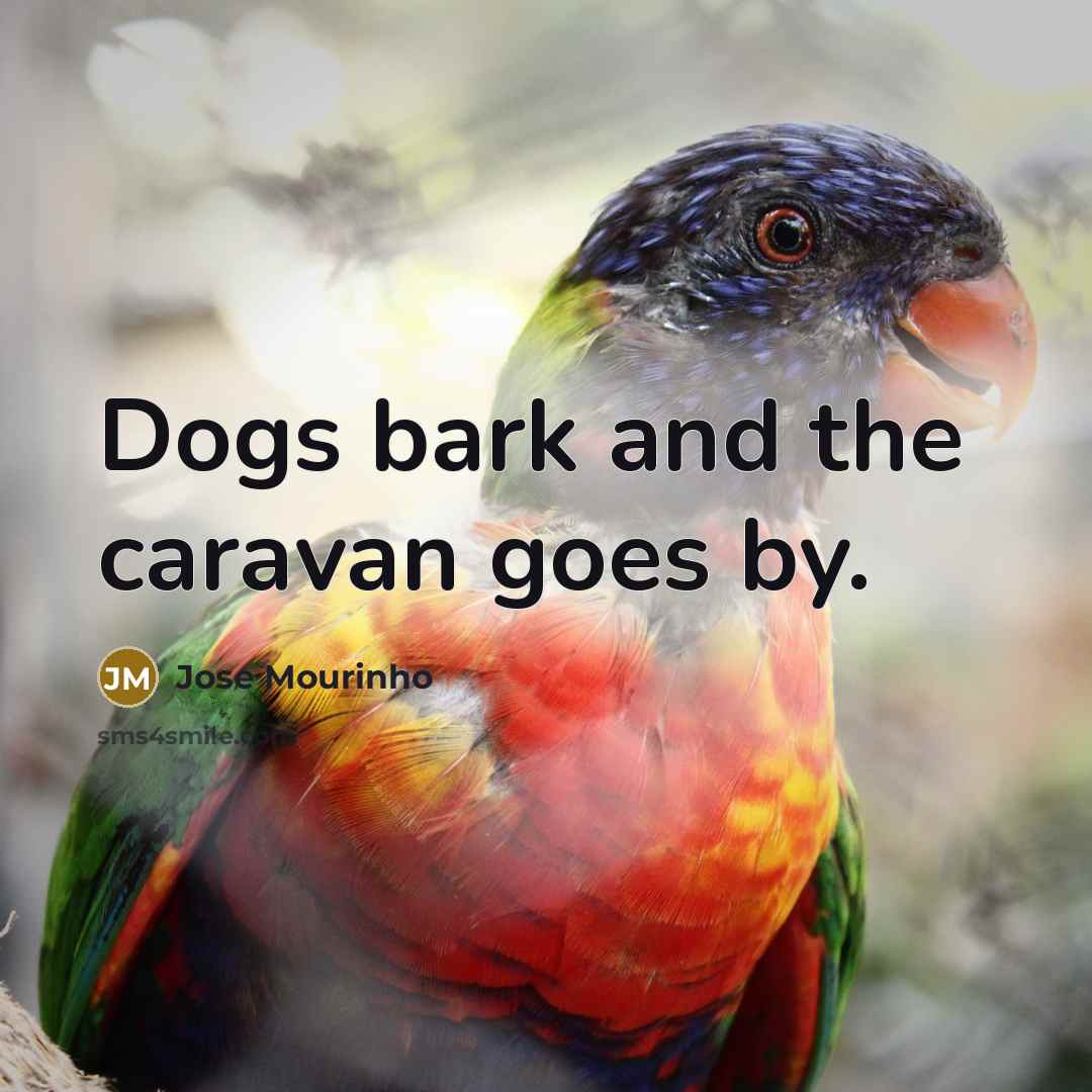 “Dogs bark and the caravan goes by.” quote by Jose Mourinho