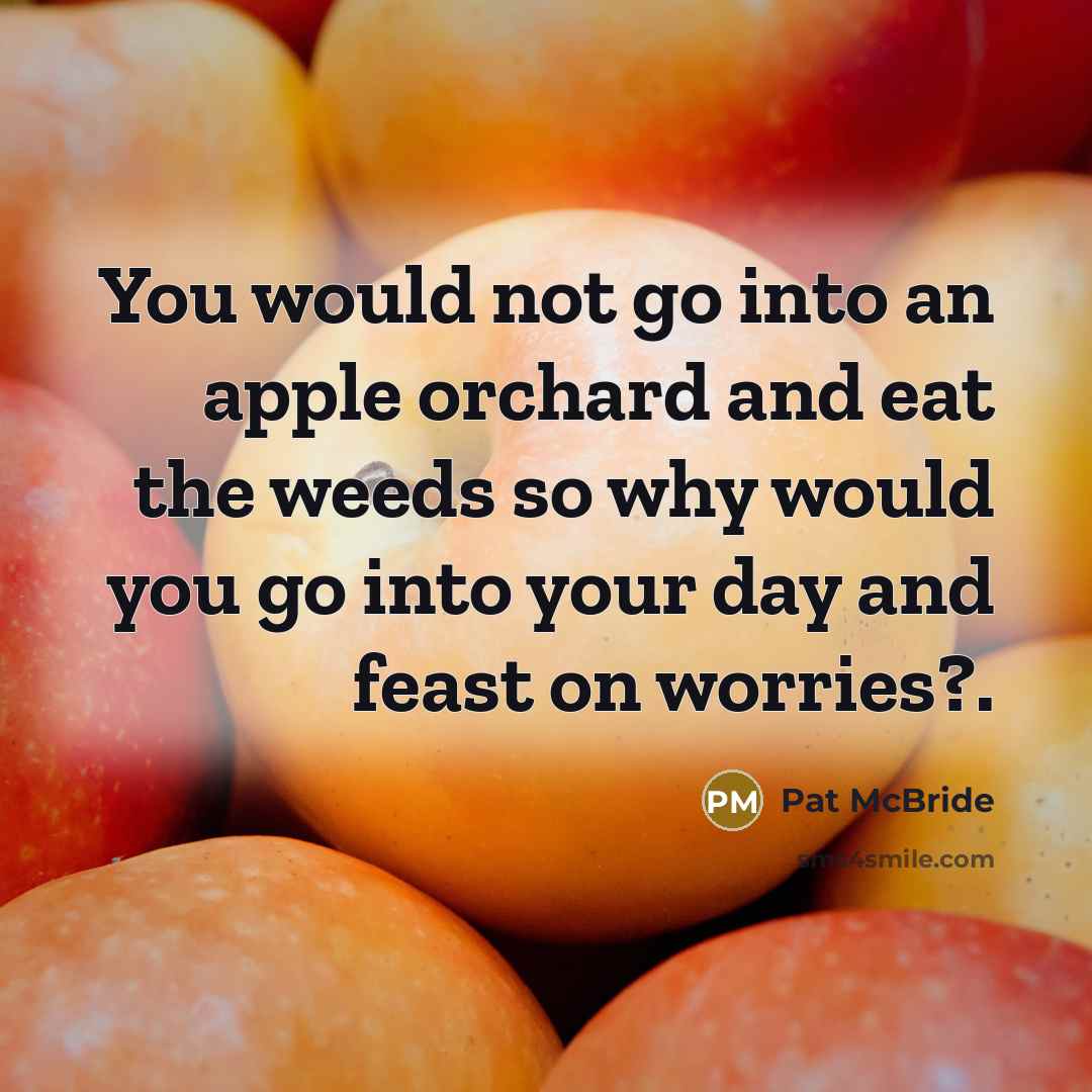 “You would not go into an apple orchard and eat…” quote by Pat McBride