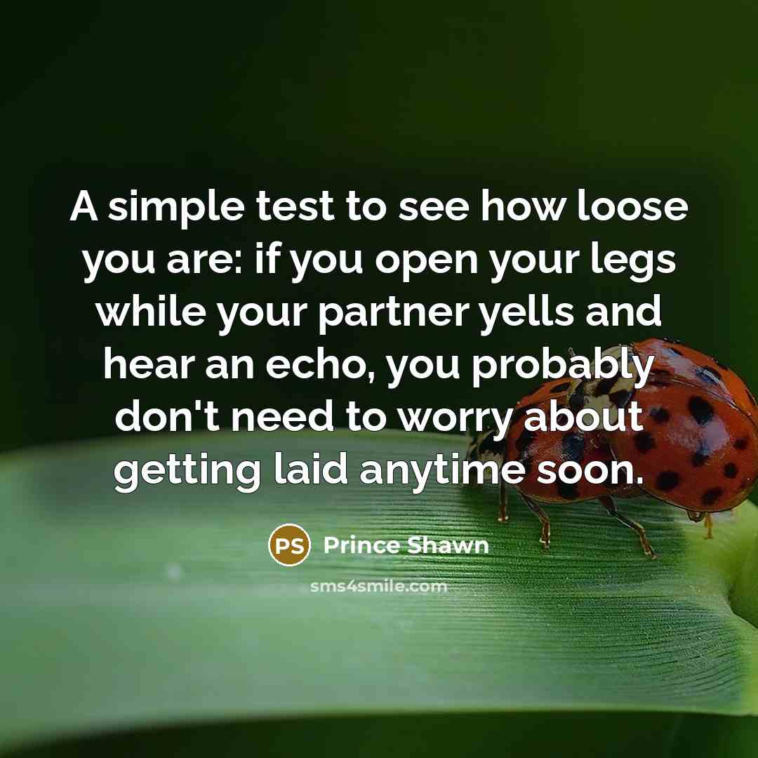 “A simple test to see how loose you are: if…” quote by Prince Shawn