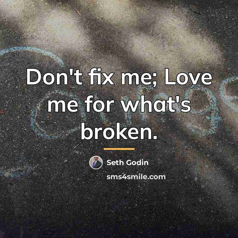 “Don't fix me; Love me for what's broken.…” quote by Seth Godin
