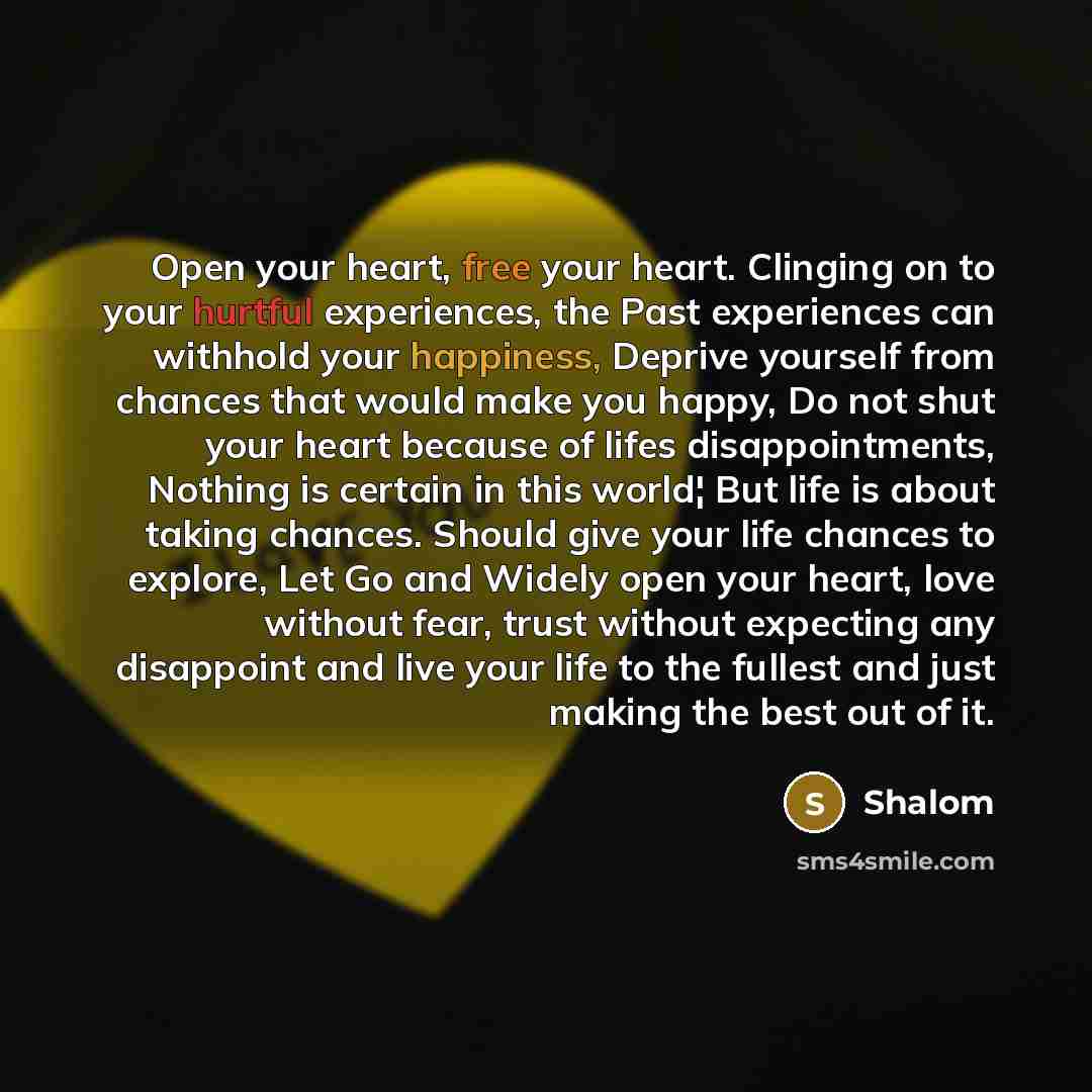 “Open your heart, free your heart. Clinging on to your hurtful experiences, the Past experiences can withhold your happiness, Deprive yourself from chances that would make you happy, Do not shut your heart because of lifes disappointments, Nothing is certain in this world¦ But life is about taking…” quote by Shalom