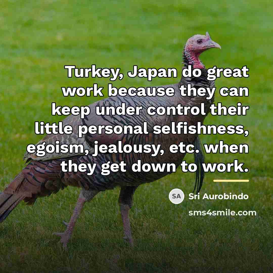 “Turkey, Japan do great work because they can keep under…” quote by Sri Aurobindo