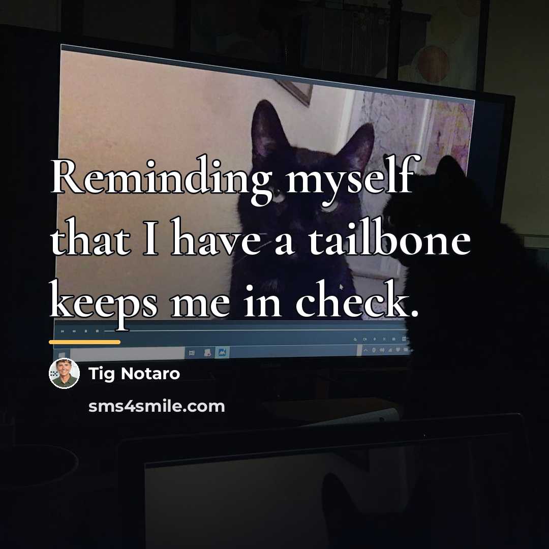 “Reminding myself that I have a tailbone keeps me in…” quote by Tig Notaro