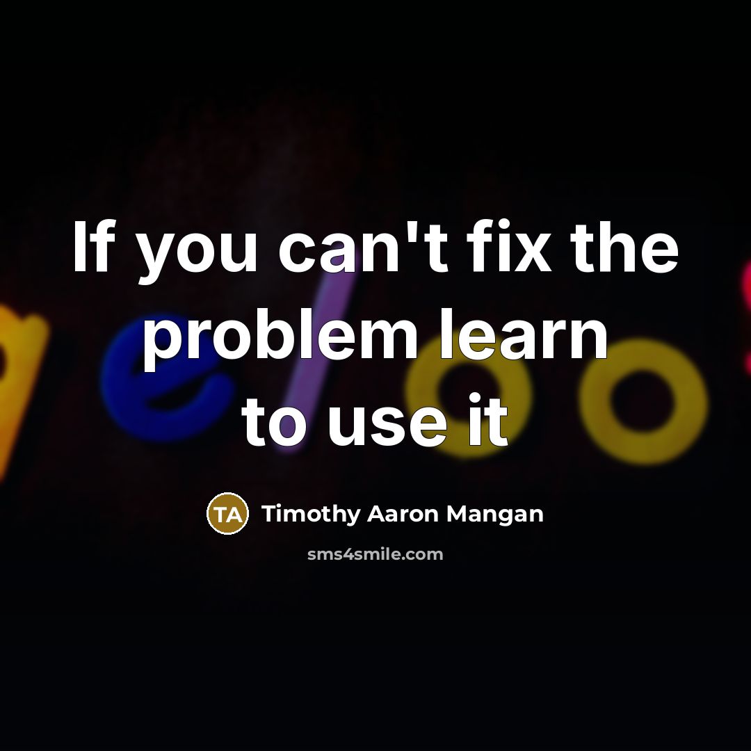 “If you can't fix the problem learn to use it…” quote by Timothy Aaron Mangan
