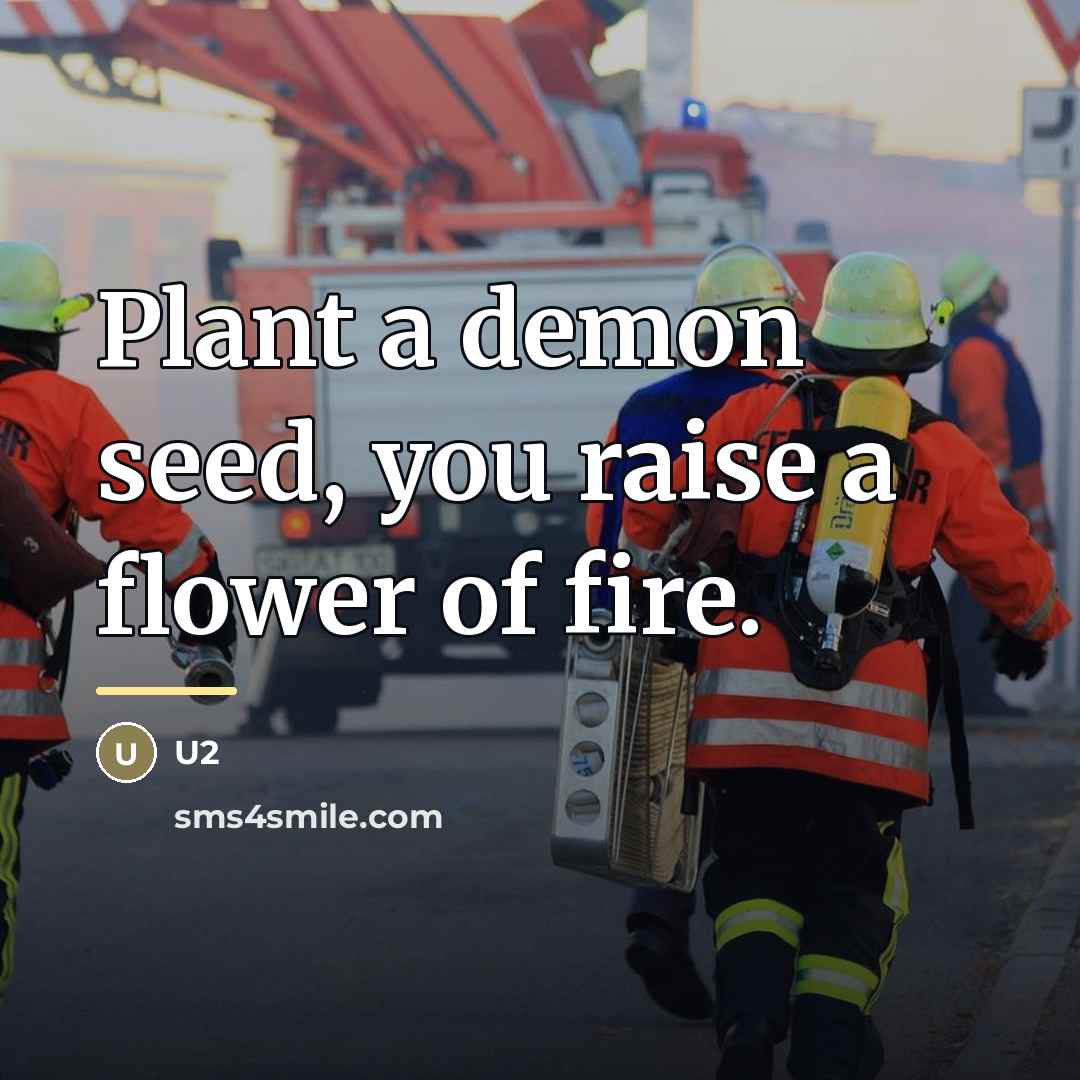 “Plant a demon seed, you raise a flower of fire.…” quote by U2