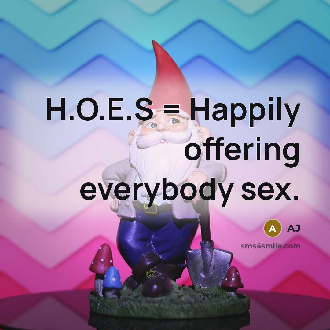 “H.O.E.S = Happily offering everybody sex.…” quote by Aj