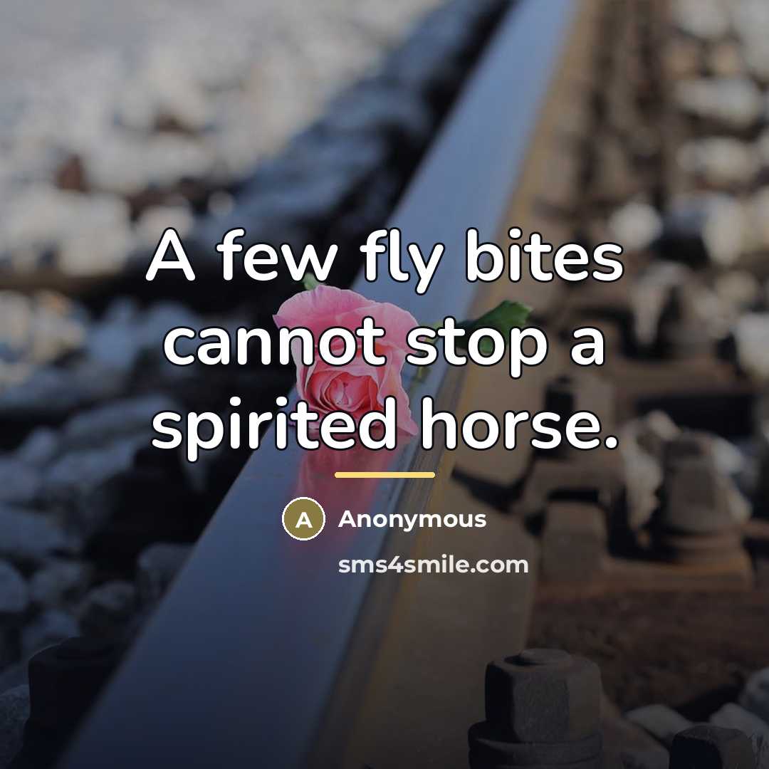 “A few fly bites cannot stop a spirited horse.…” quote by Anonymous