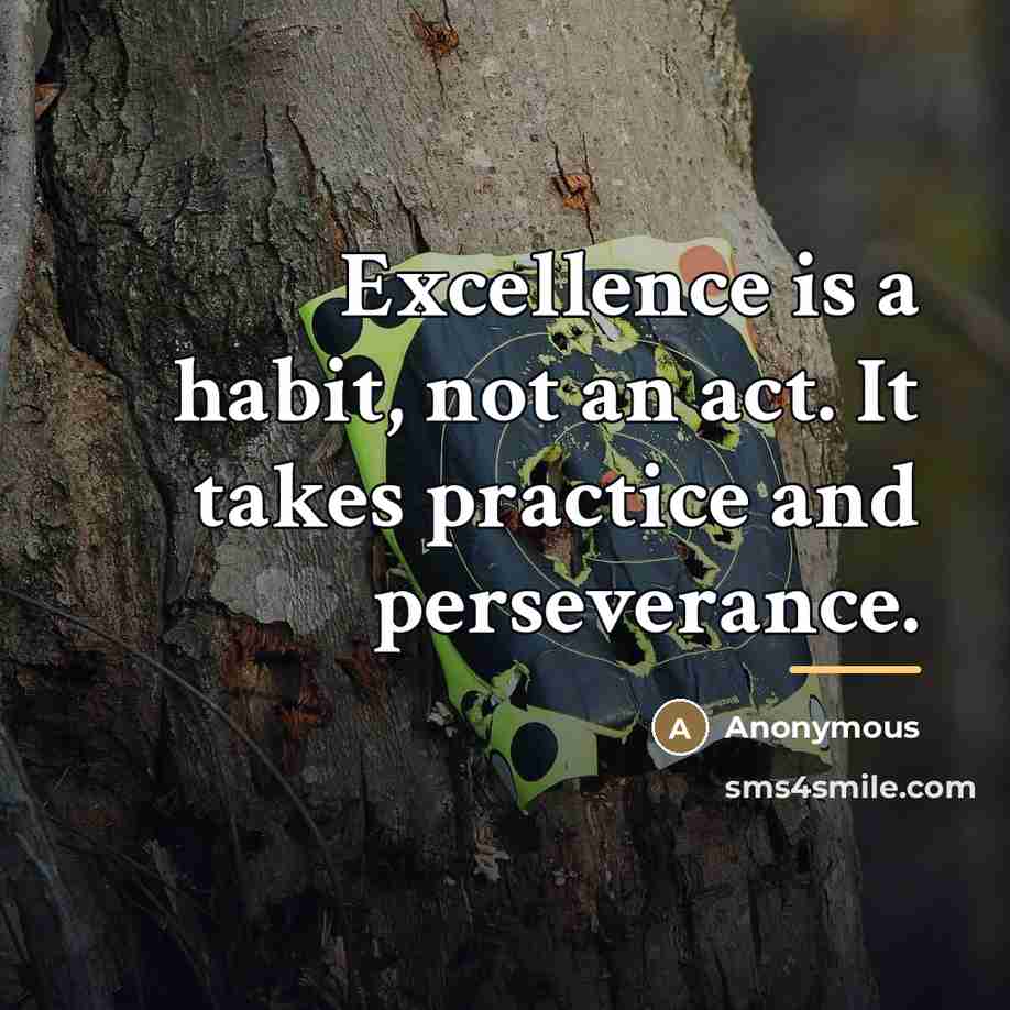 “Excellence is a habit, not an act. It takes practice…” quote by Anonymous